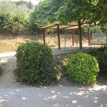 Apartment In Mit Schoenem Garten
