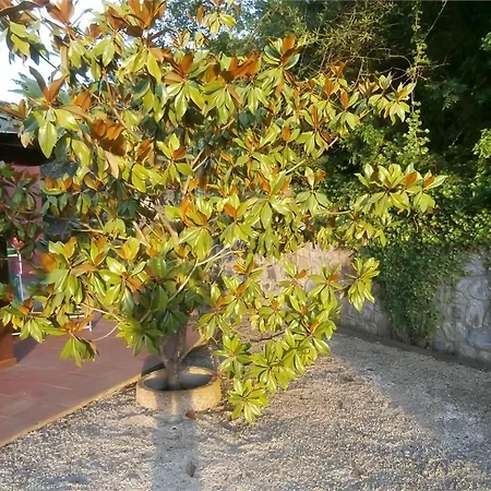 Apartment In Mit Schoenem Garten *