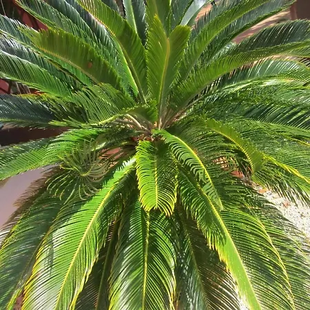 In Mit Schoenem Garten Apartmán *